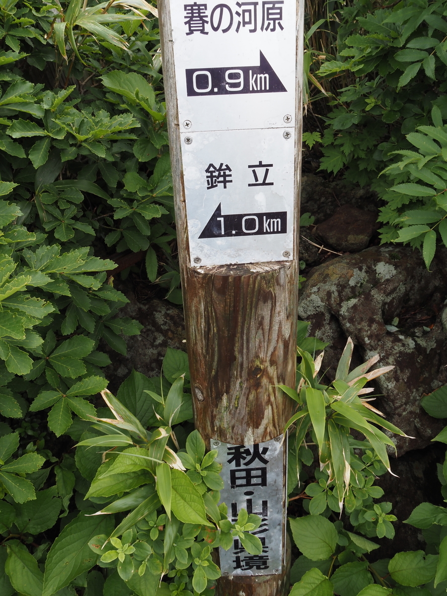 f:id:pft78526:20200718193753j:plain