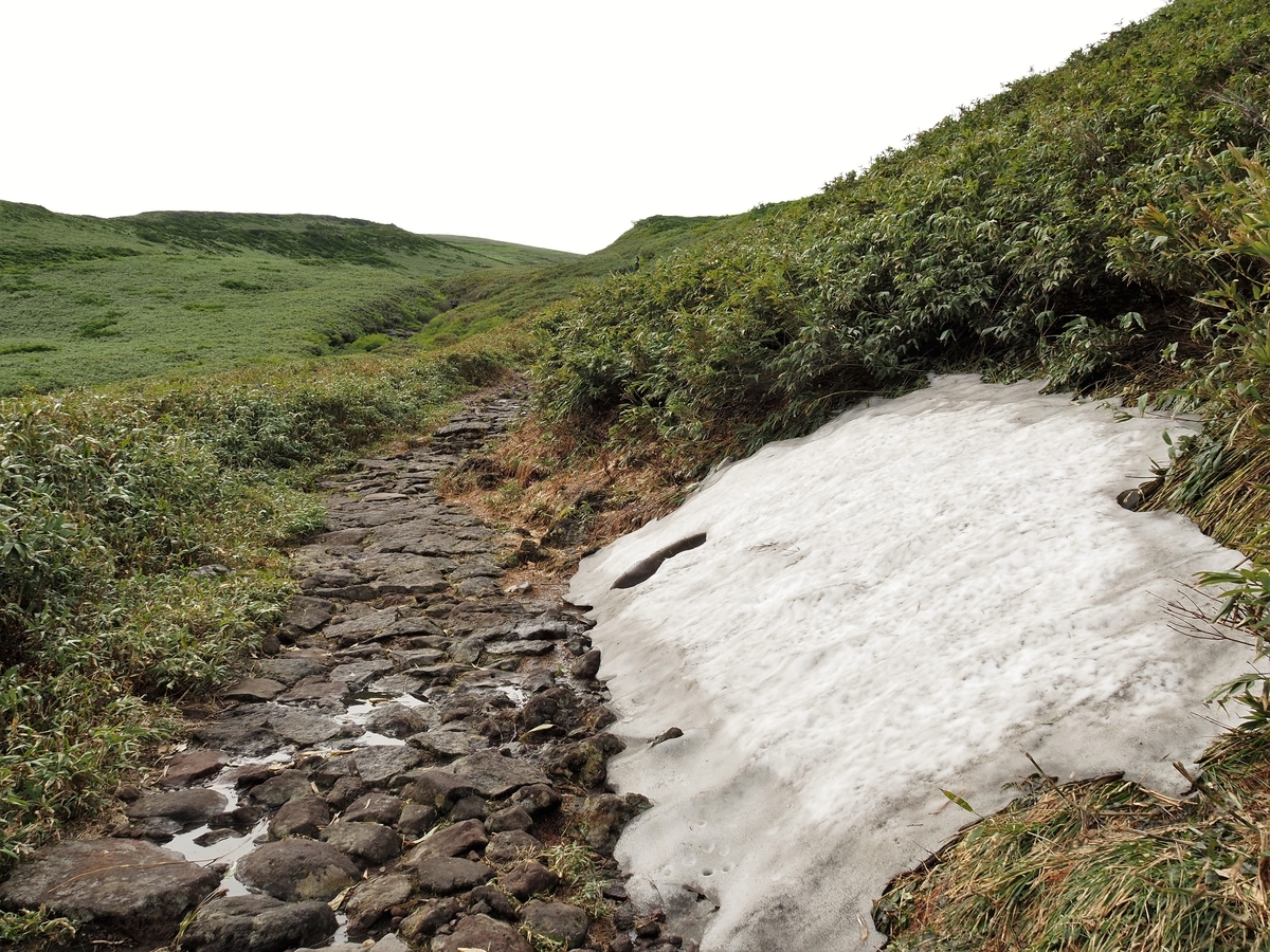 f:id:pft78526:20200718202604j:plain