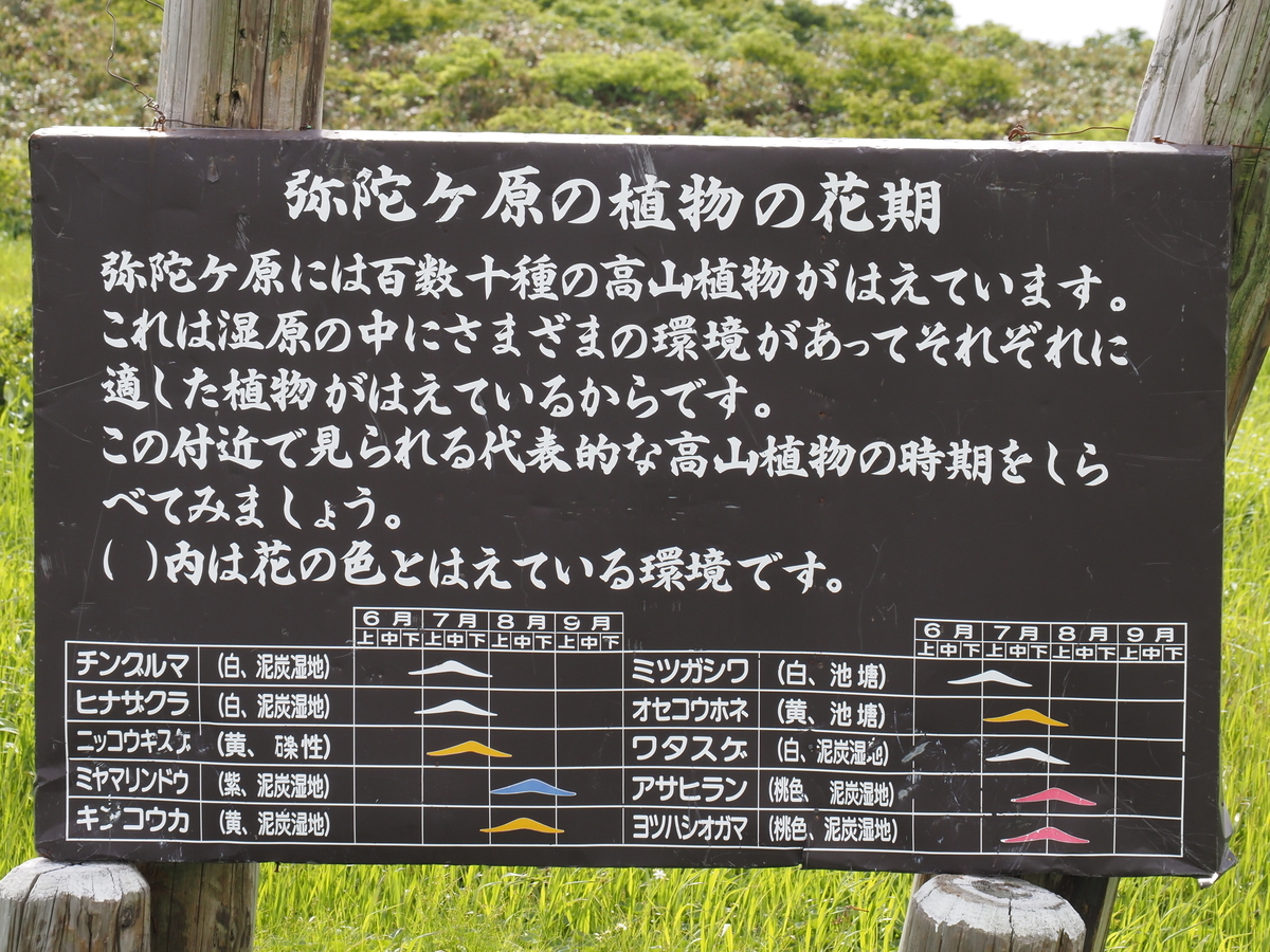 f:id:pft78526:20200725130432j:plain