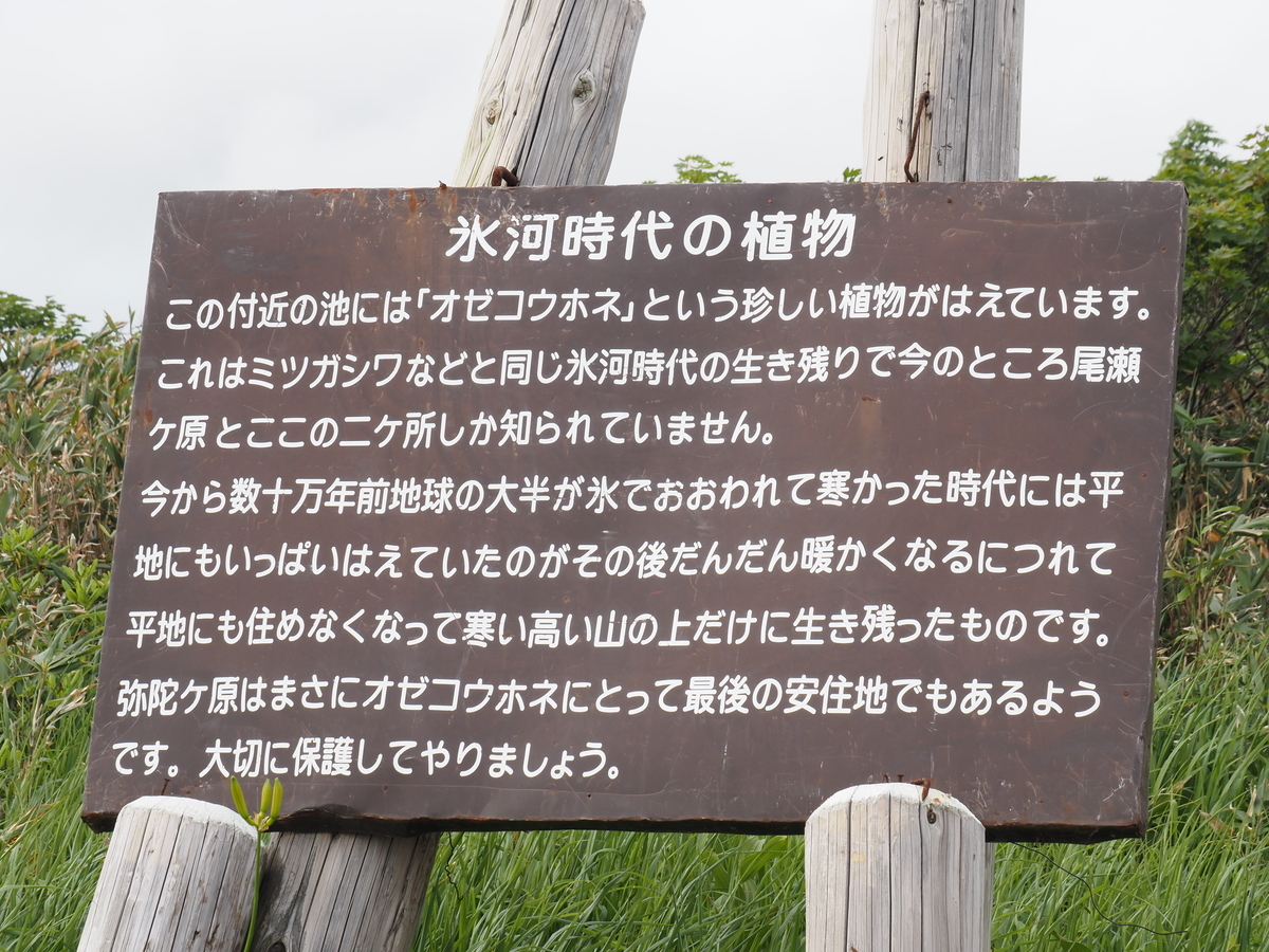 f:id:pft78526:20200725130518j:plain