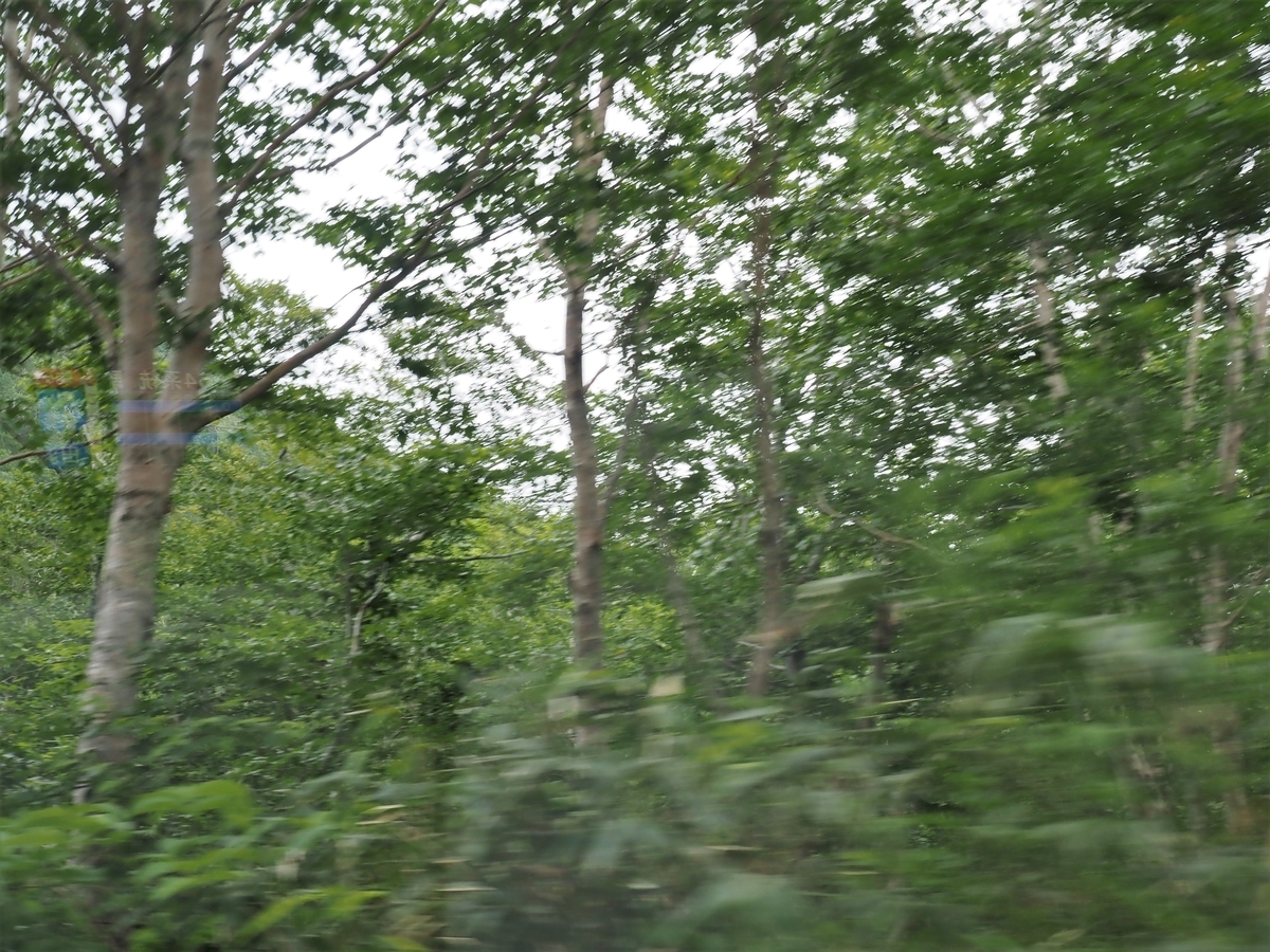 f:id:pft78526:20200728211747j:plain