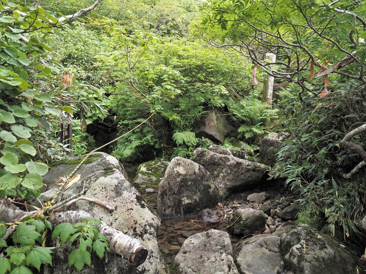 f:id:pft78526:20200804204206j:plain f:id:pft78526:20200804204206j:plain