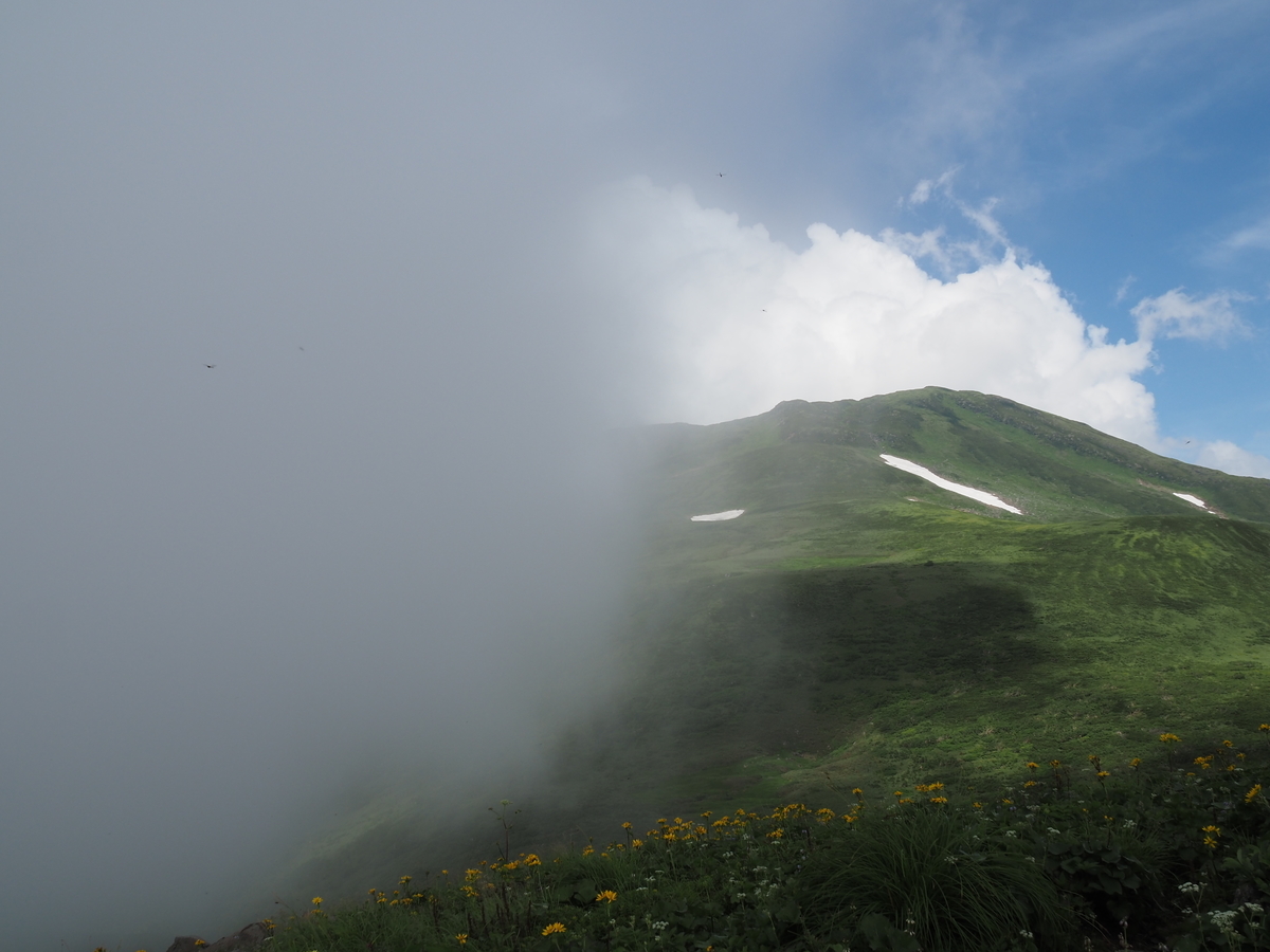 f:id:pft78526:20200804222542j:plain f:id:pft78526:20200804222542j:plain