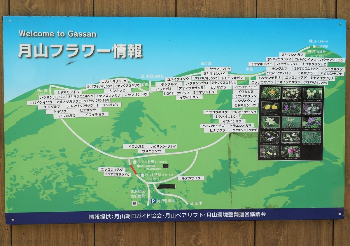 f:id:pft78526:20200806170040j:plain