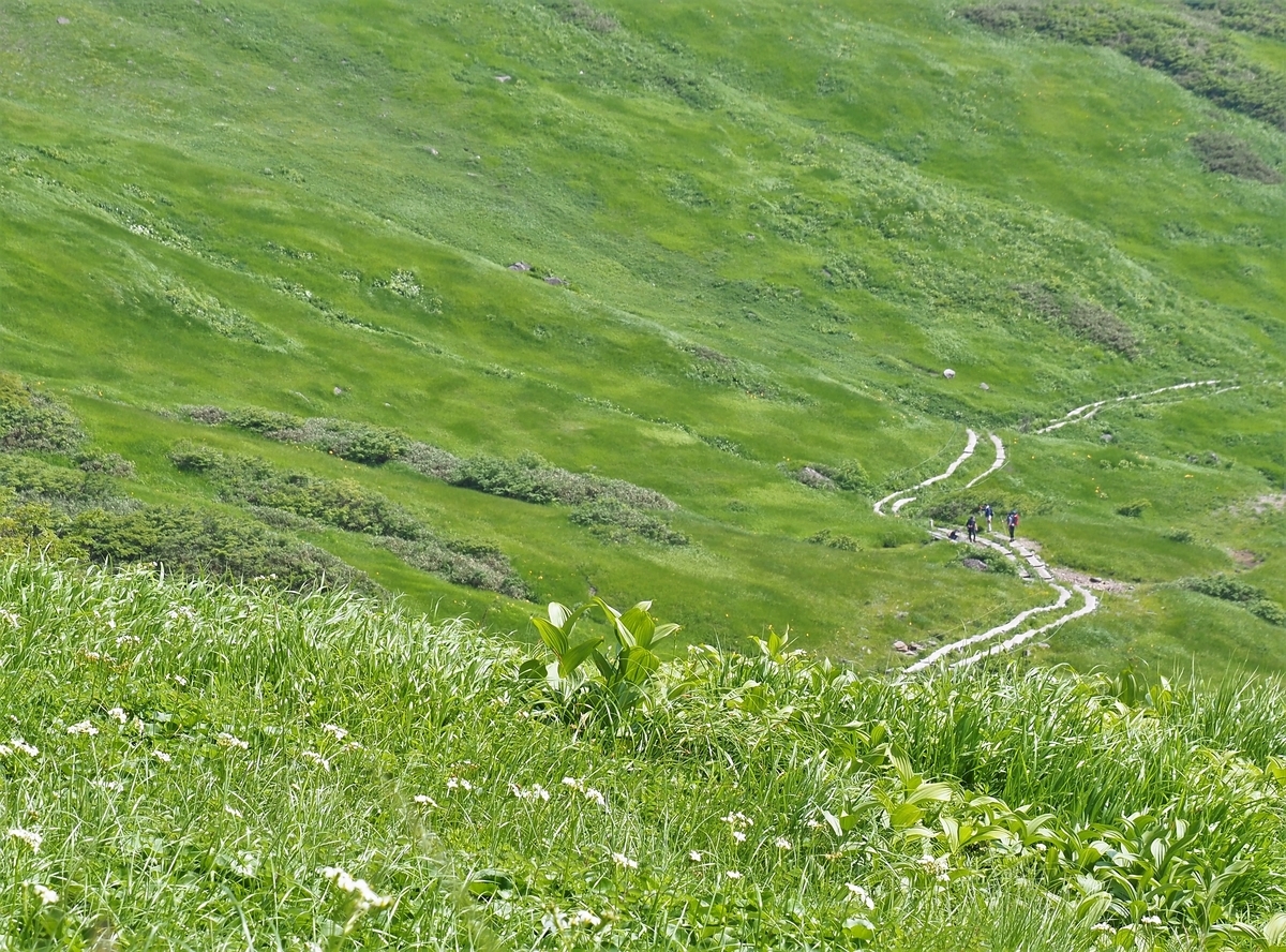 f:id:pft78526:20200806192831j:plain