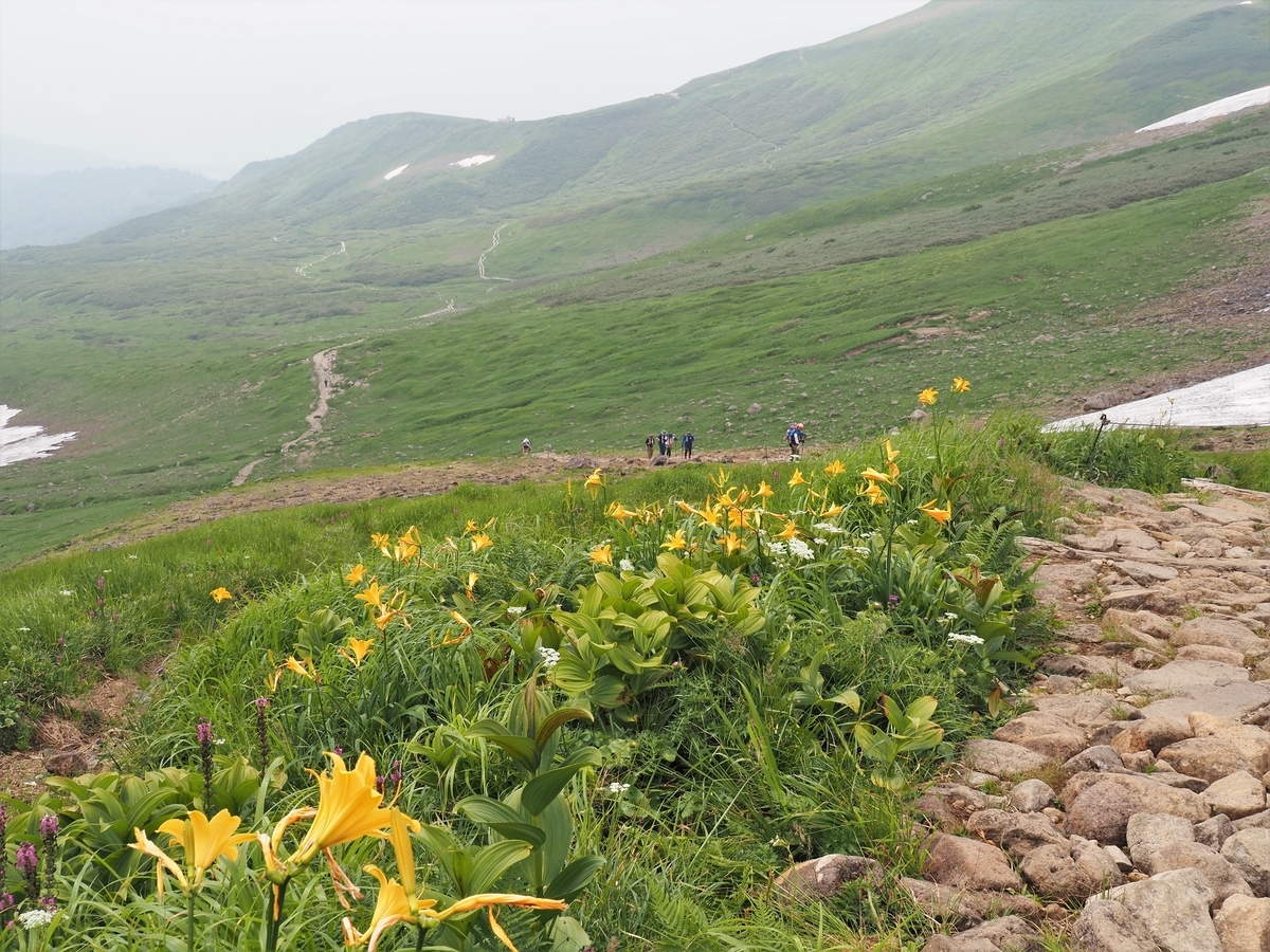 f:id:pft78526:20200807094226j:plain