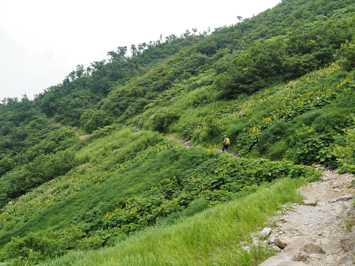f:id:pft78526:20200807105058j:plain