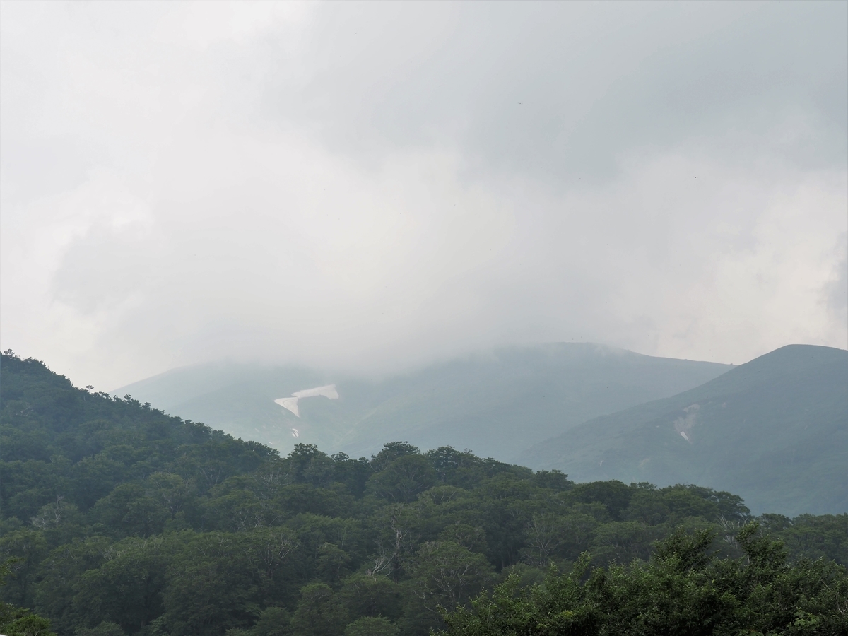 f:id:pft78526:20200807111358j:plain