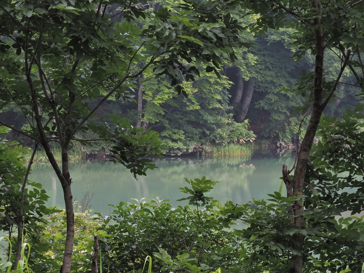 f:id:pft78526:20200807113338j:plain