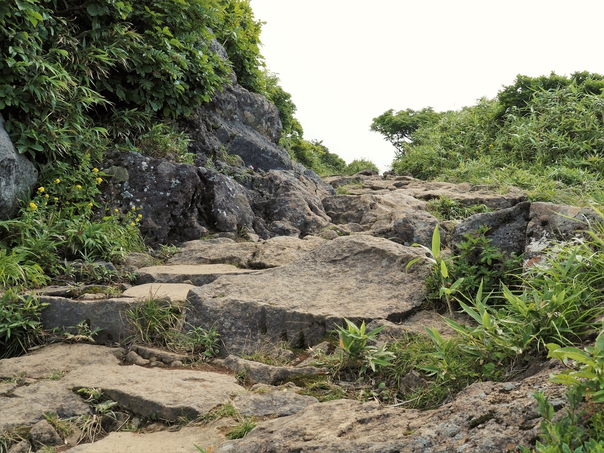 f:id:pft78526:20200828102541j:plain