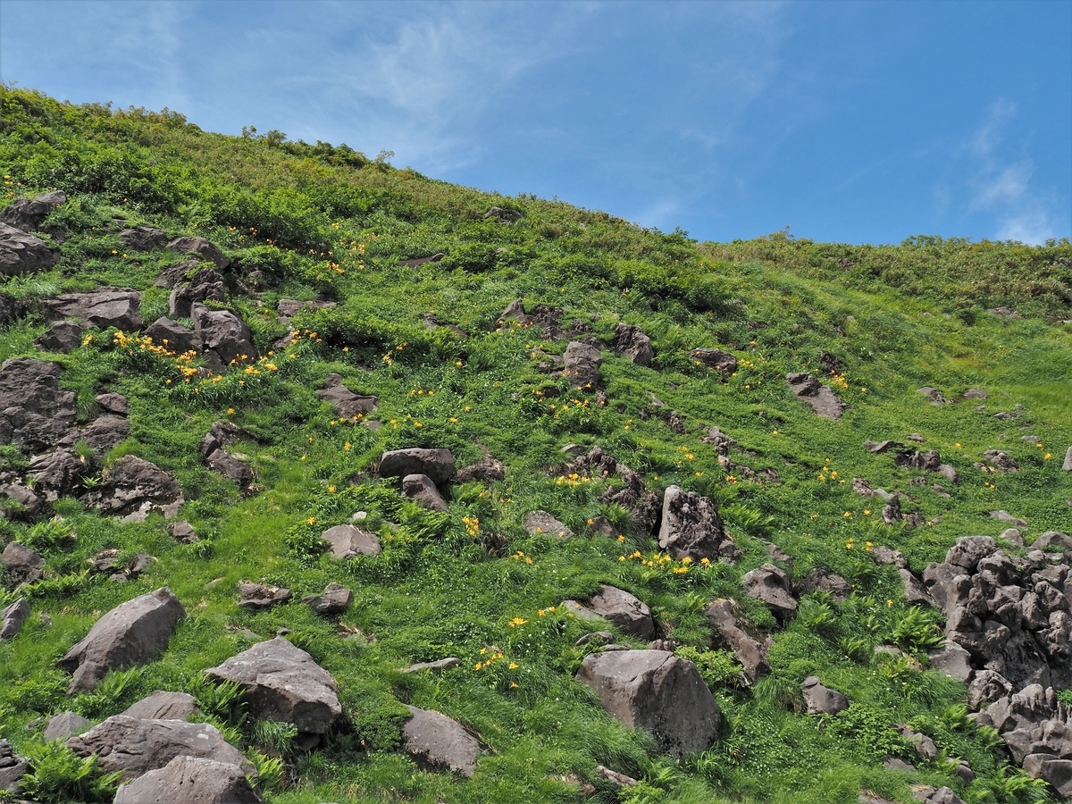 f:id:pft78526:20200828122204j:plain