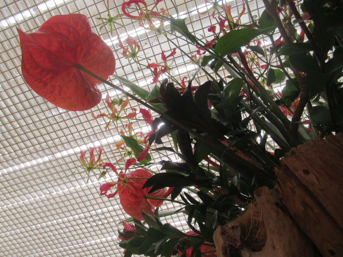 f:id:pft78526:20200916211723j:plain