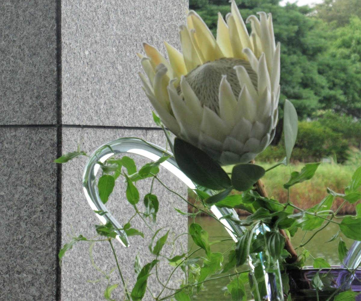 f:id:pft78526:20200917181318j:plain