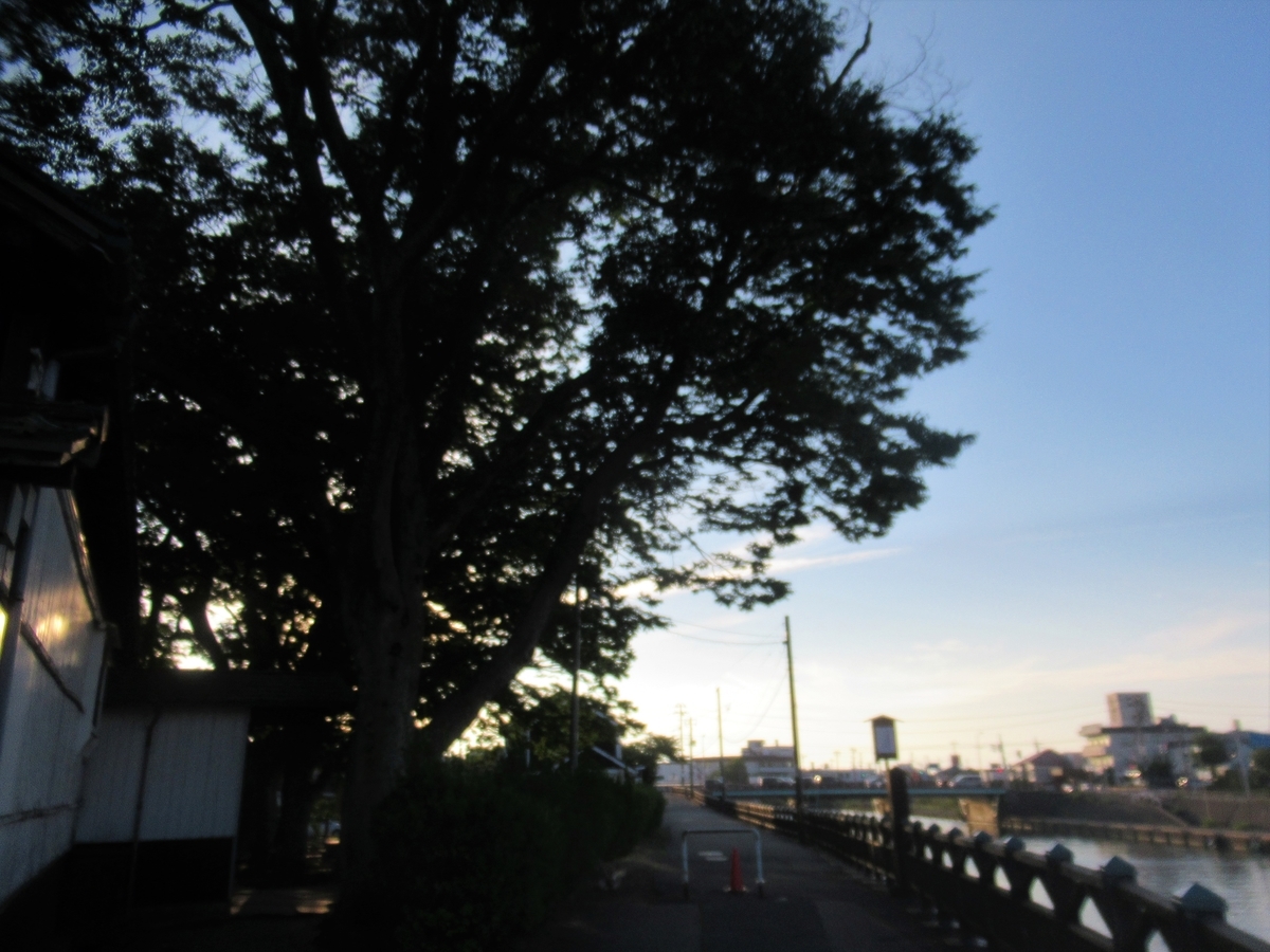 f:id:pft78526:20200923194308j:plain