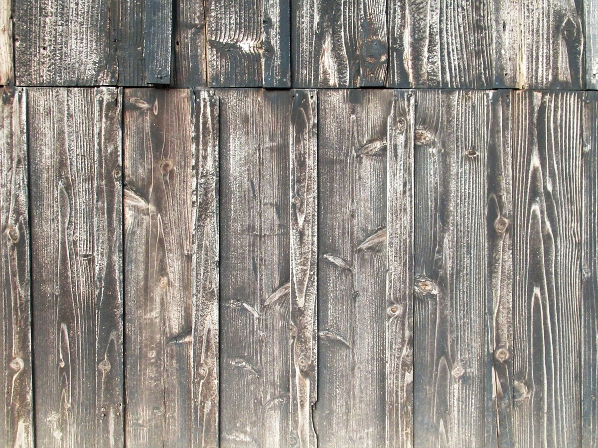 f:id:pft78526:20200923194645j:plain
