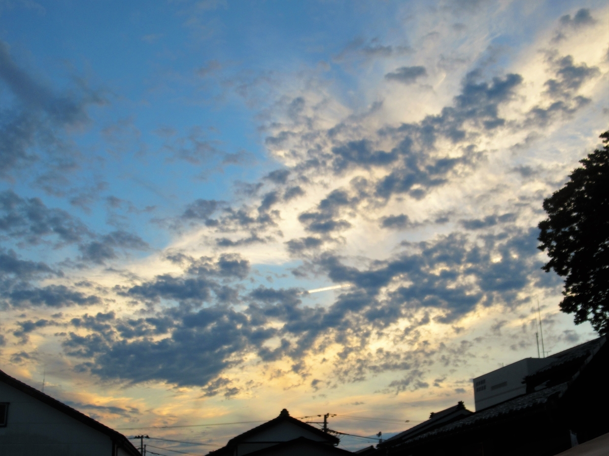 f:id:pft78526:20200923194847j:plain
