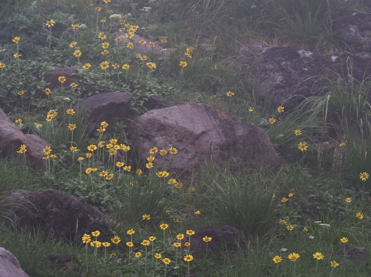 f:id:pft78526:20200923210335j:plain f:id:pft78526:20200923210335j:plain