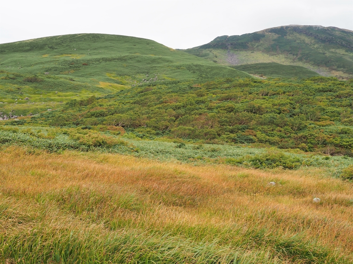 f:id:pft78526:20200926191406j:plain