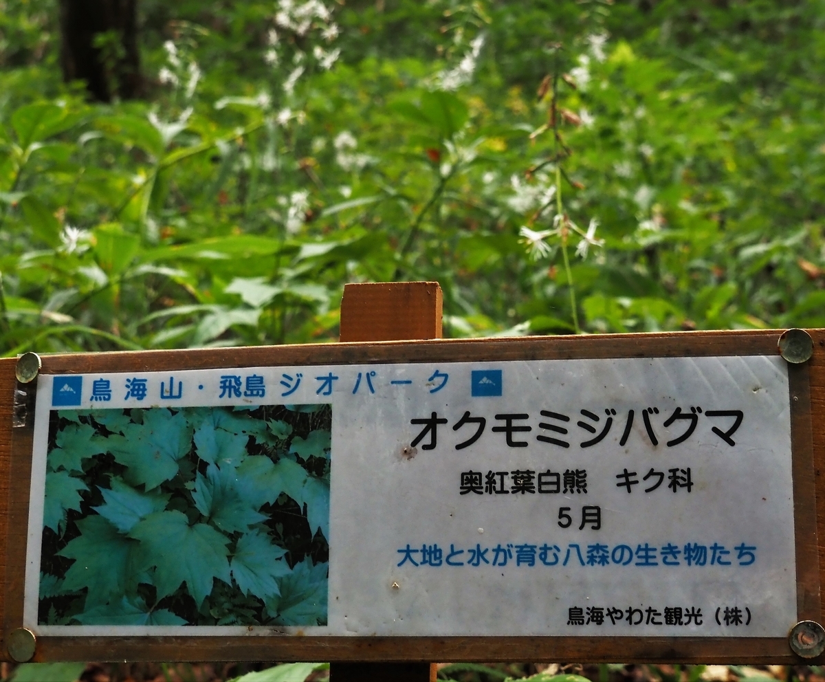 f:id:pft78526:20201007162126j:plain