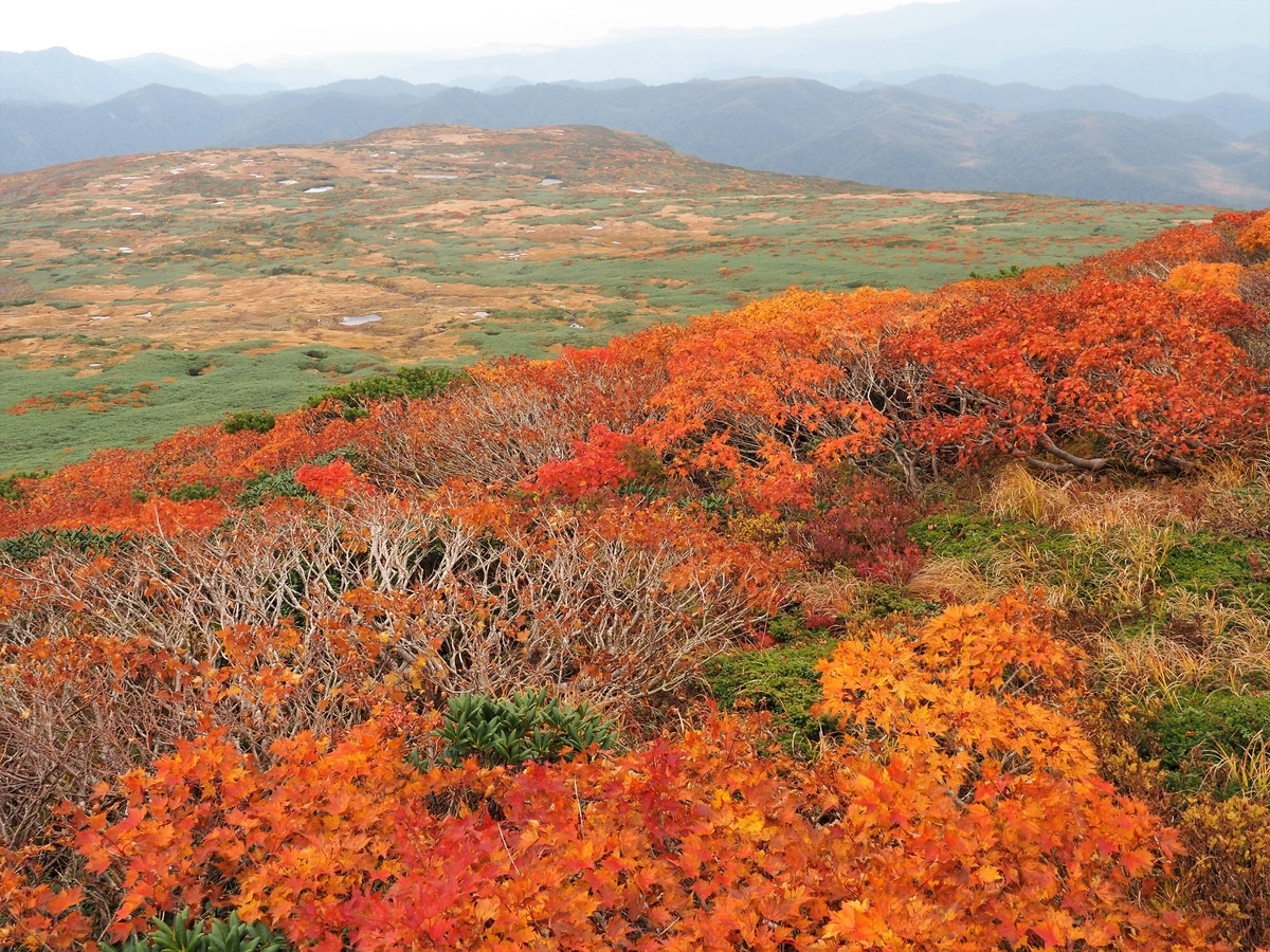 f:id:pft78526:20201009191959j:plain
