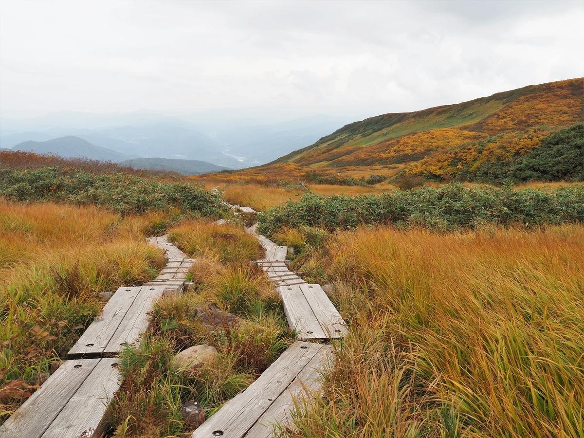 f:id:pft78526:20201010070625j:plain