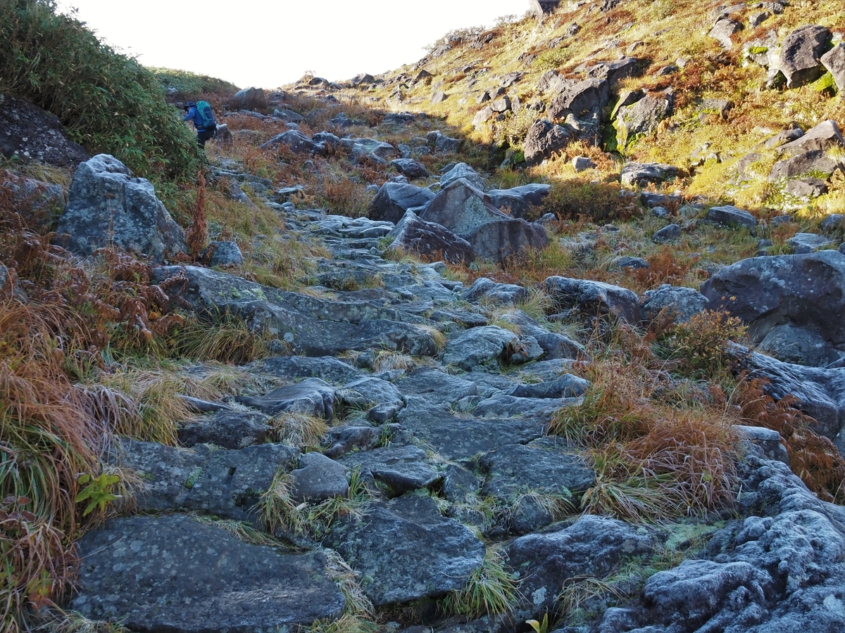 f:id:pft78526:20201020172500j:plain