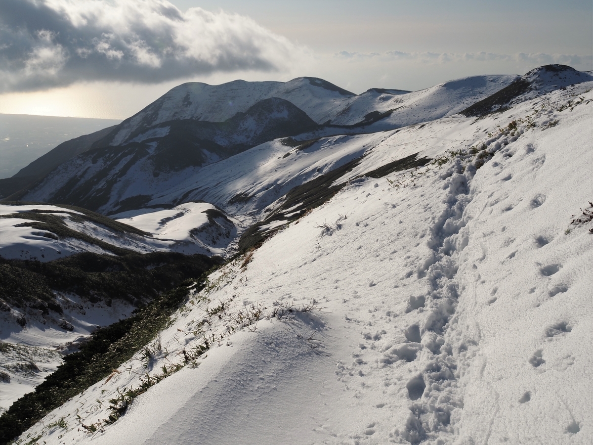 f:id:pft78526:20201105201643j:plain