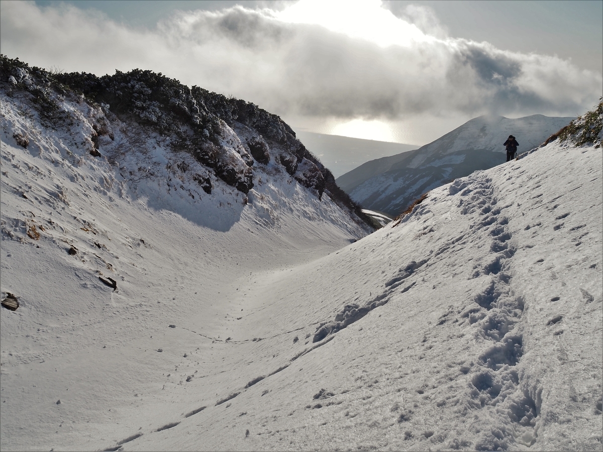 f:id:pft78526:20201105201901j:plain