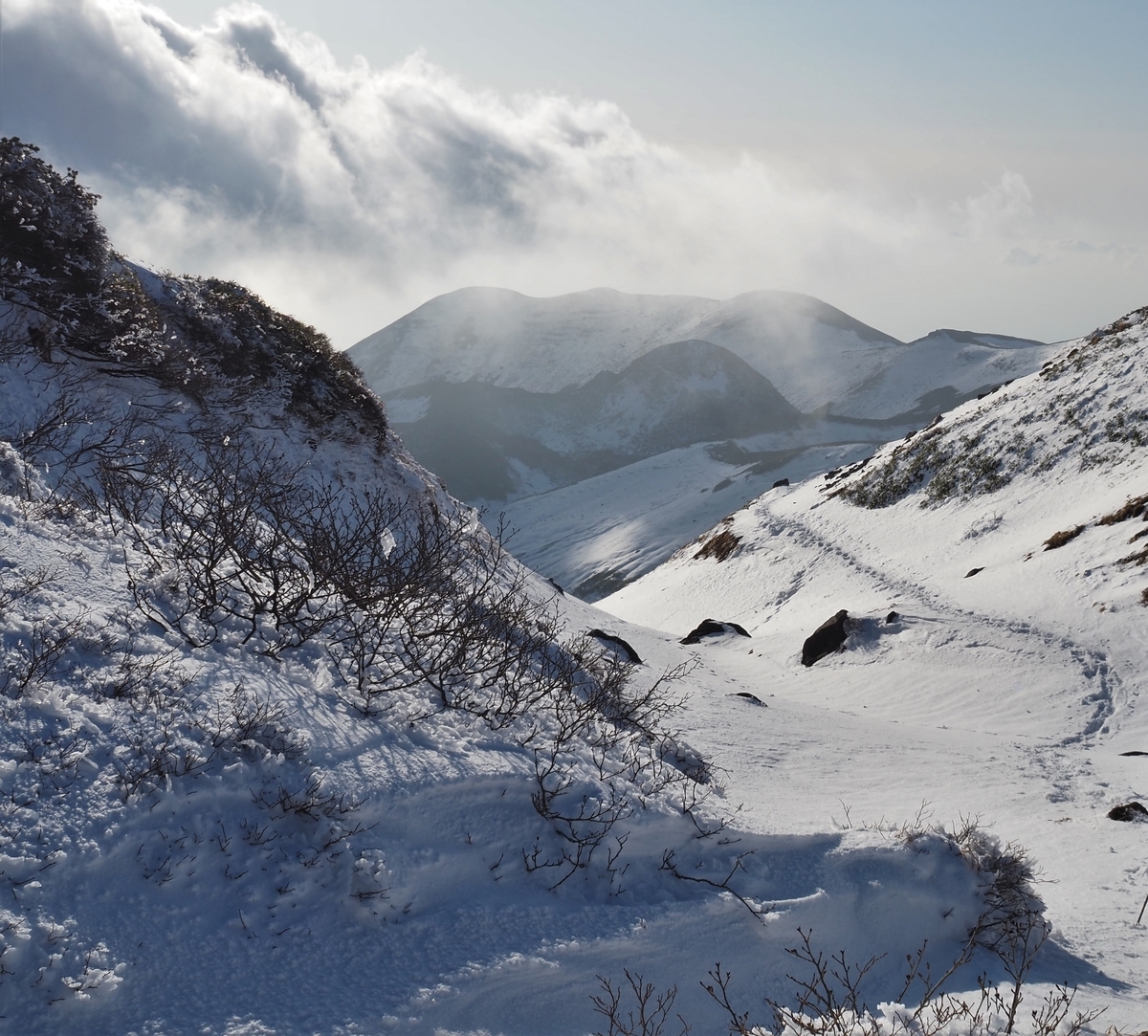 f:id:pft78526:20201105202502j:plain