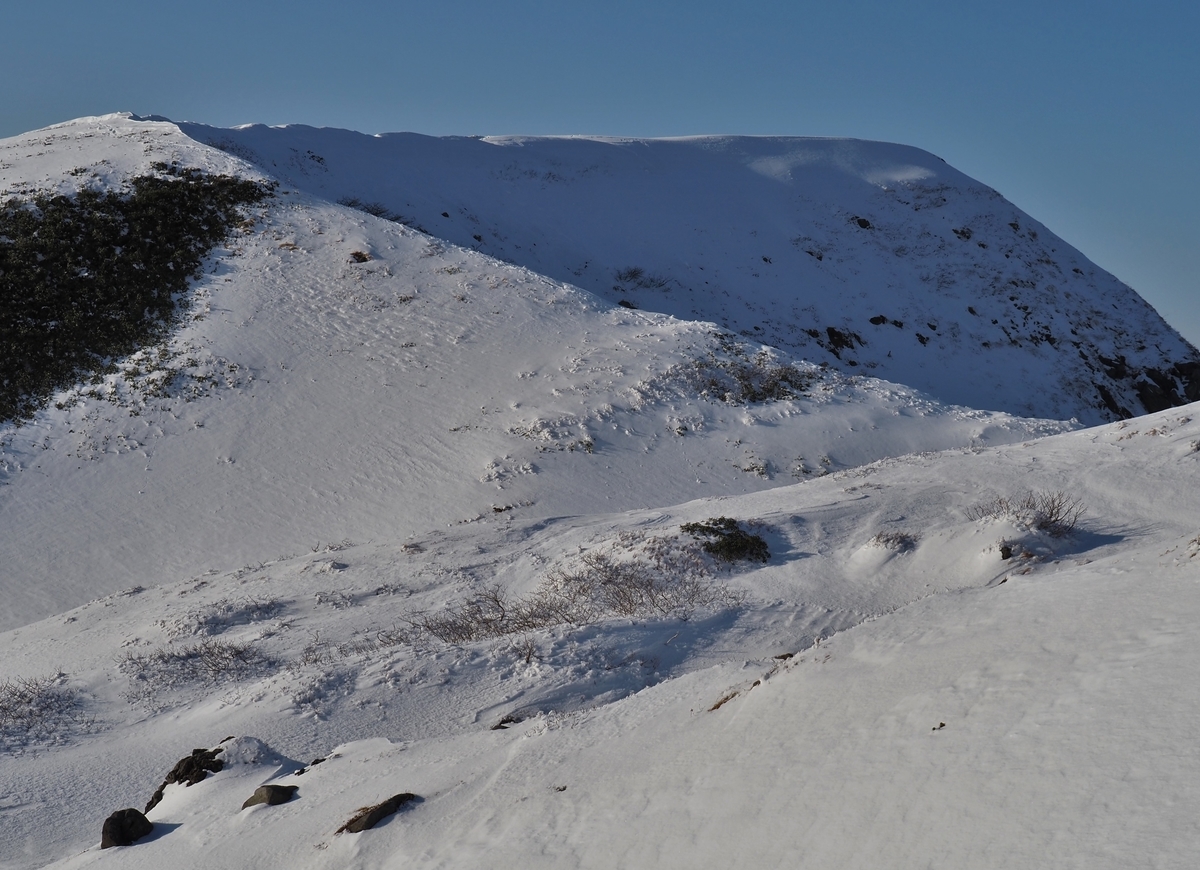 f:id:pft78526:20201105203135j:plain