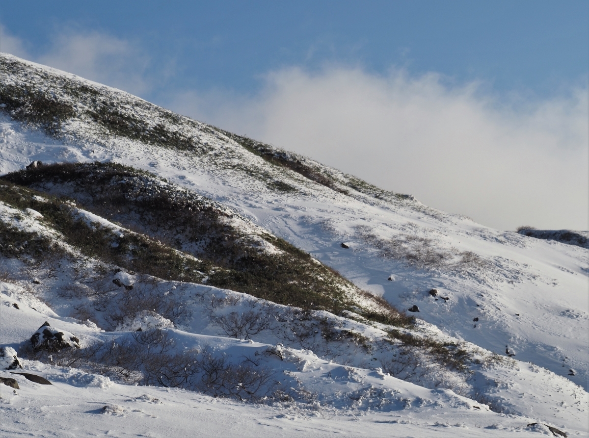 f:id:pft78526:20201105203340j:plain