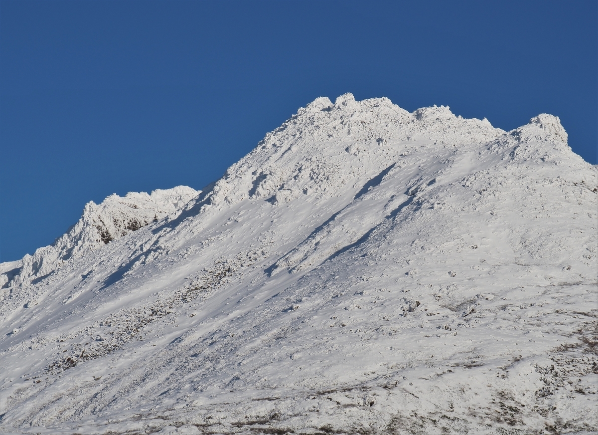 f:id:pft78526:20201105204844j:plain