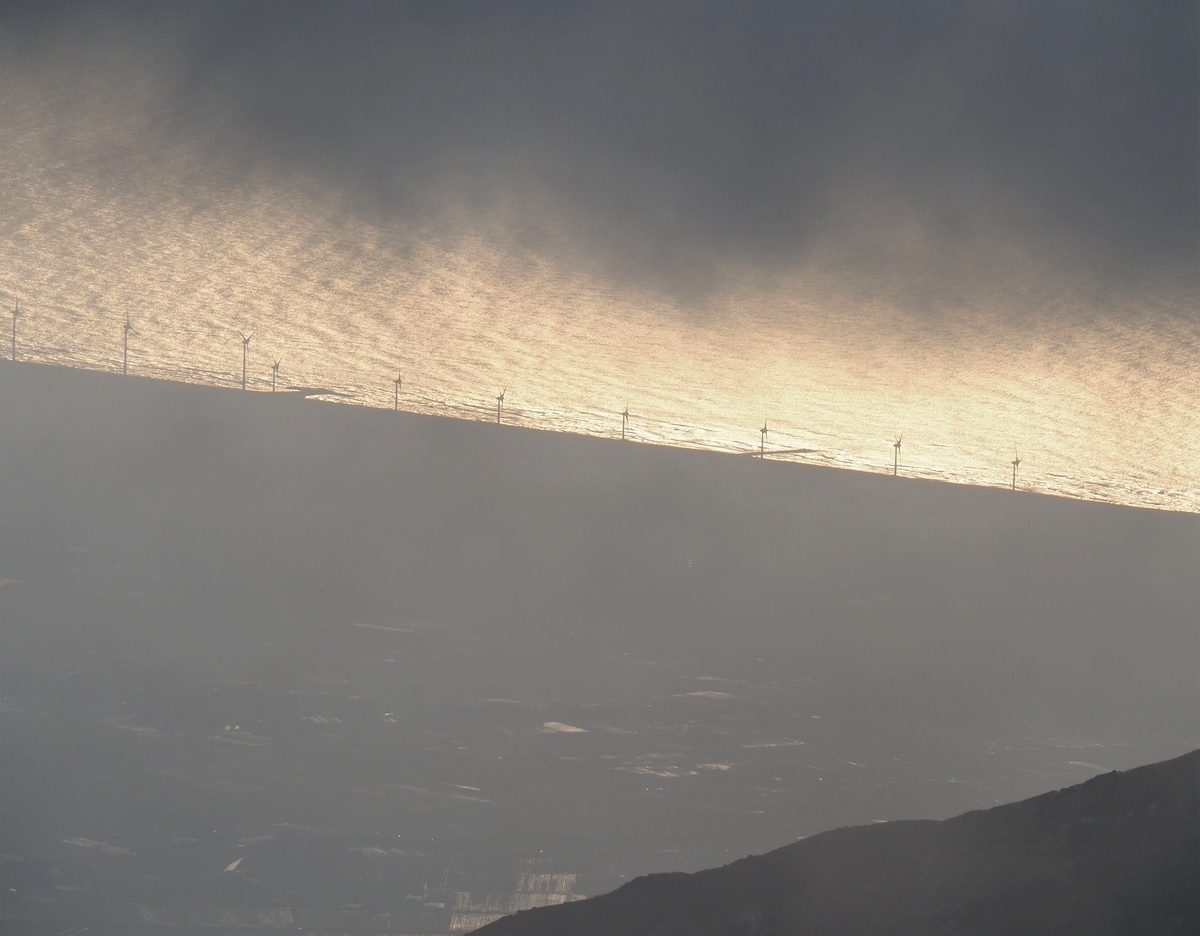 f:id:pft78526:20201105205001j:plain