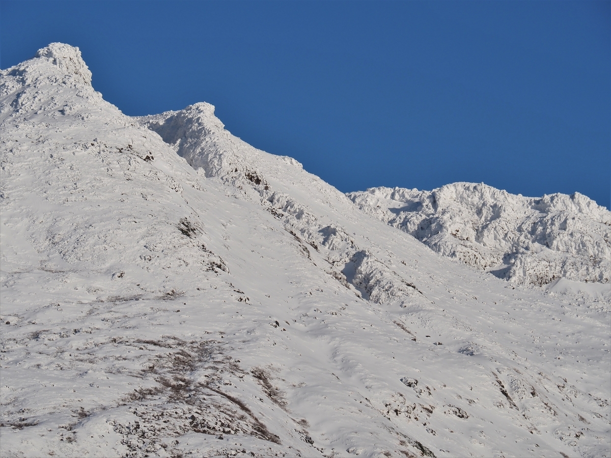 f:id:pft78526:20201105205831j:plain