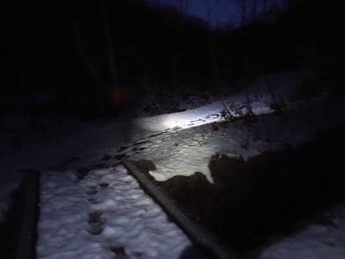 f:id:pft78526:20201115192142j:plain