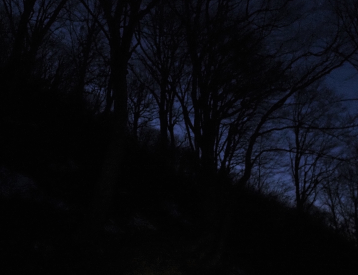 f:id:pft78526:20201115192245j:plain