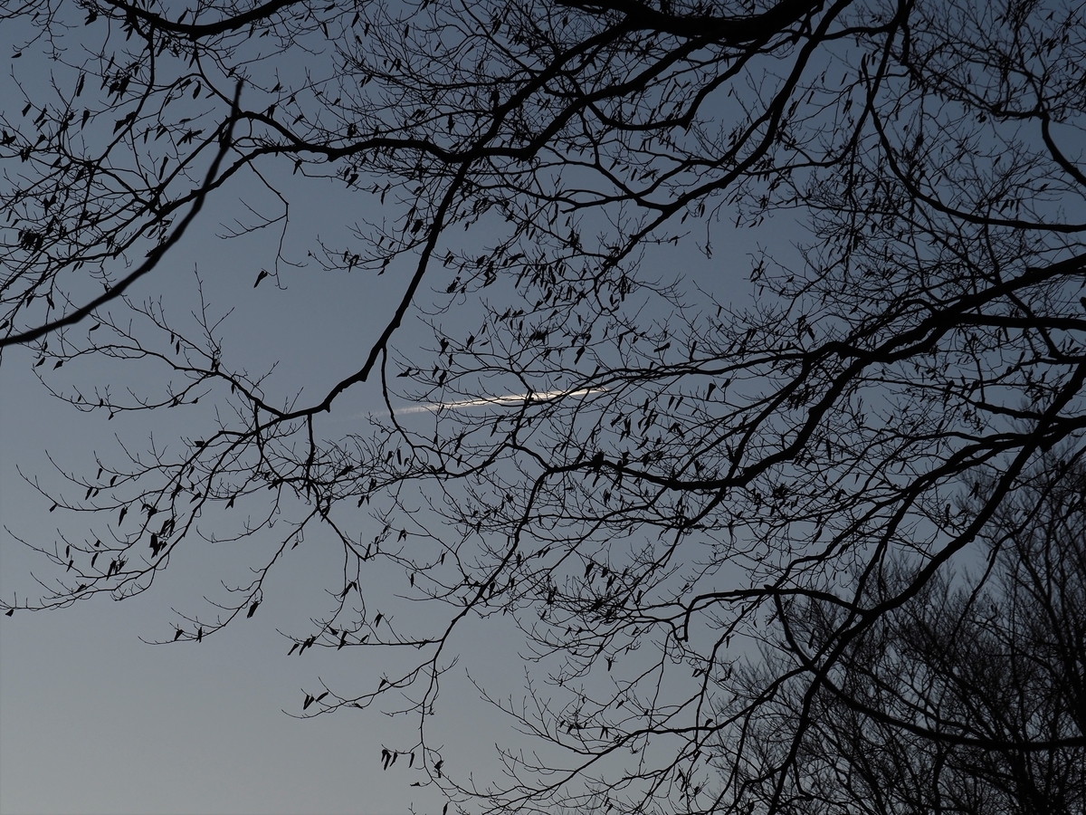 f:id:pft78526:20201117060333j:plain