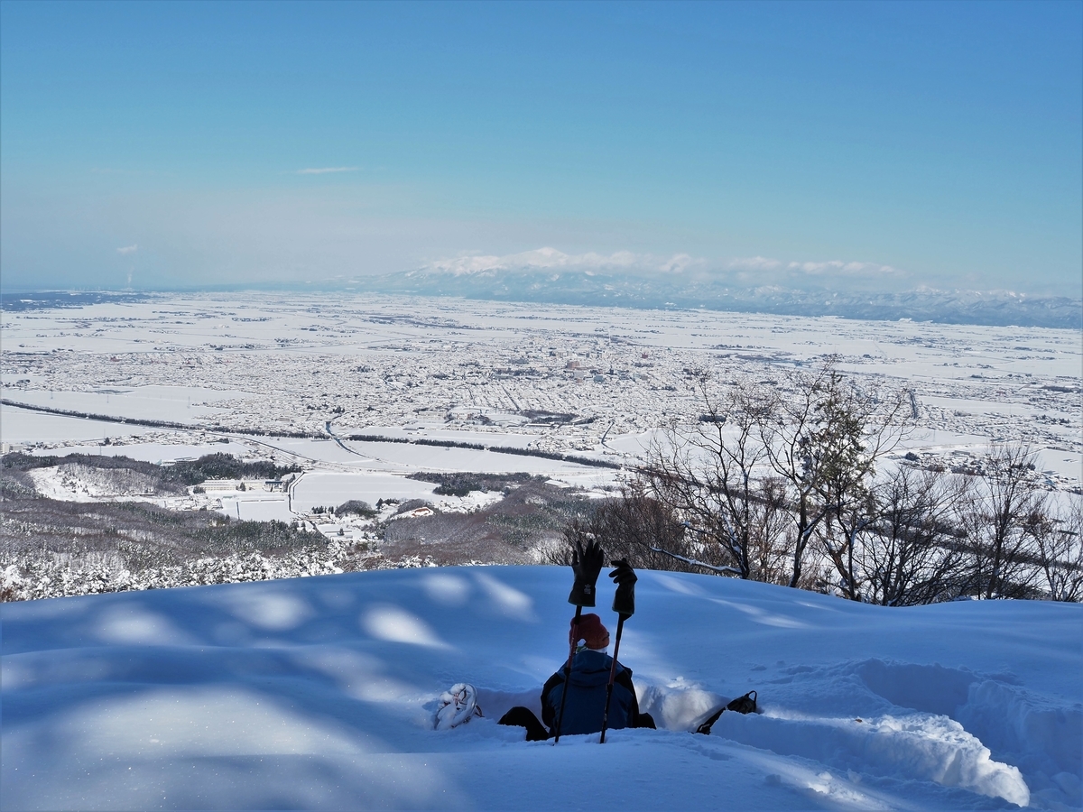 f:id:pft78526:20210126205728j:plain