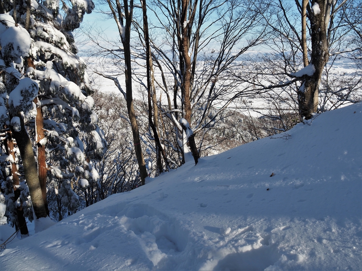 f:id:pft78526:20210202151407j:plain