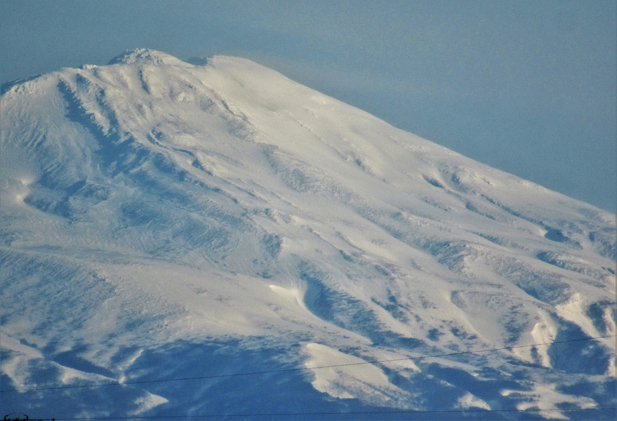 f:id:pft78526:20210202152536j:plain