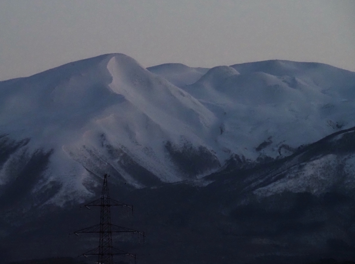 f:id:pft78526:20210213191438j:plain