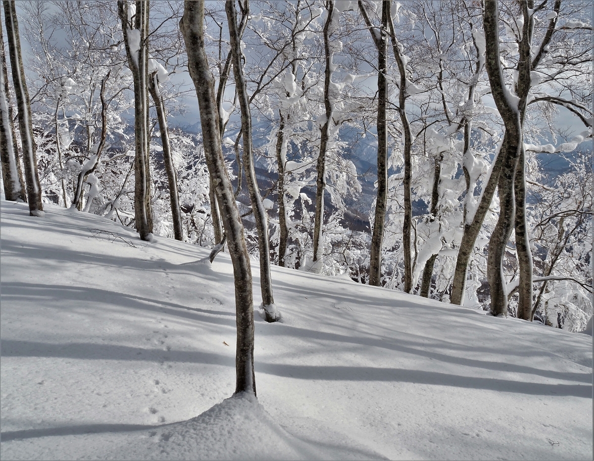 f:id:pft78526:20210218162056j:plain