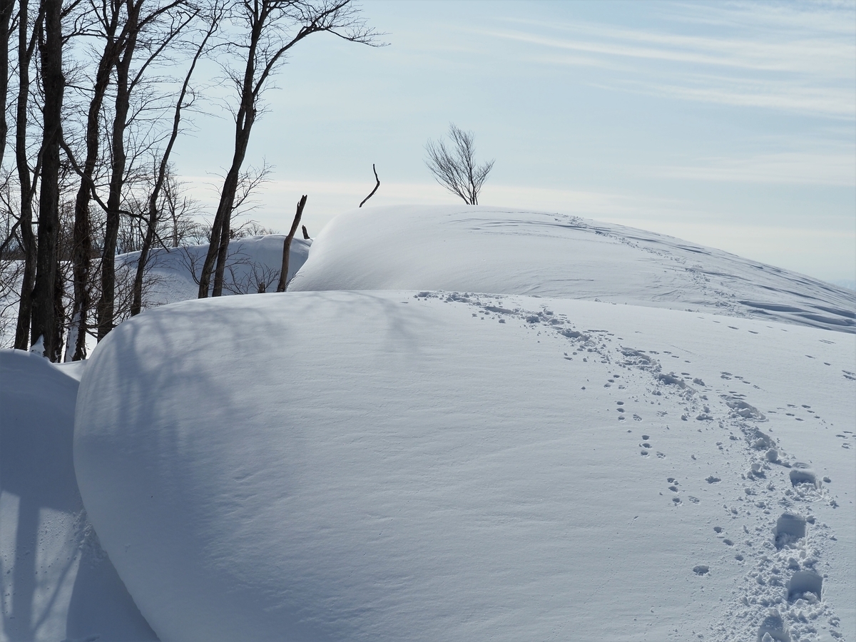 f:id:pft78526:20210220092344j:plain