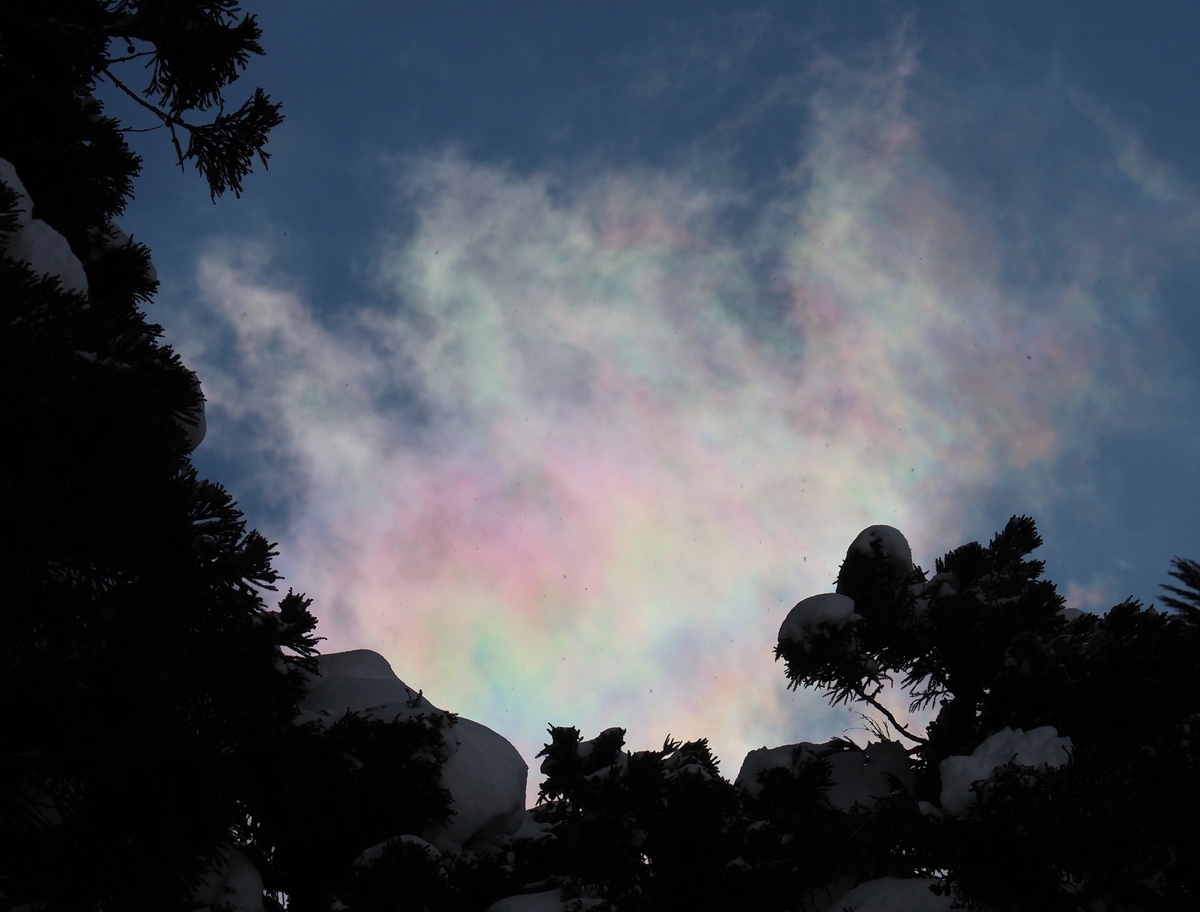 f:id:pft78526:20210227112042j:plain