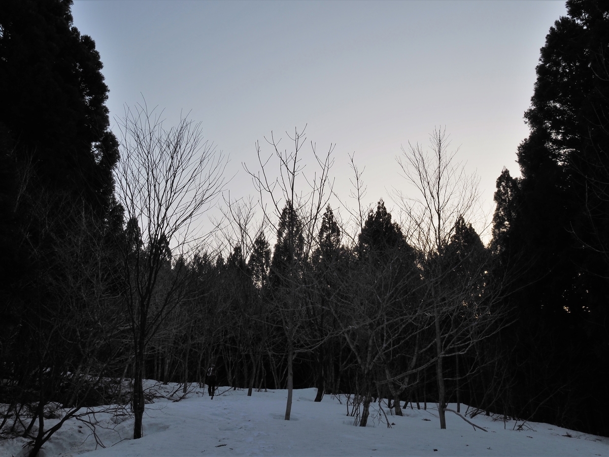 f:id:pft78526:20210322191559j:plain