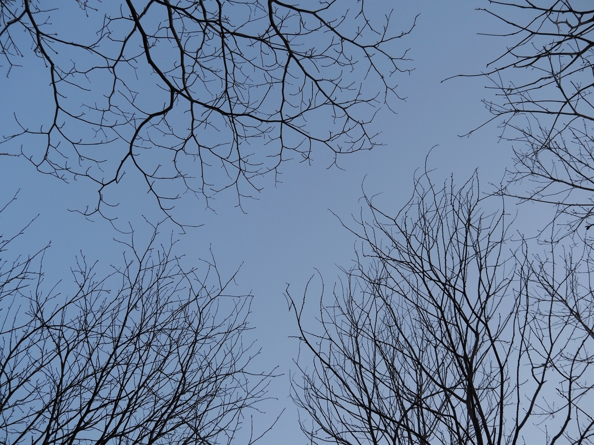f:id:pft78526:20210322192116j:plain