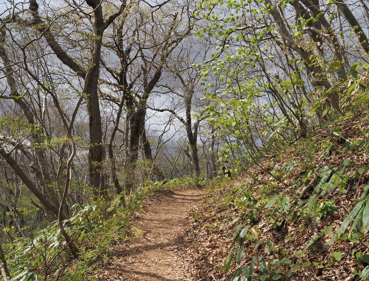 f:id:pft78526:20210407193241j:plain