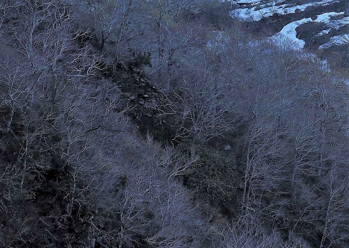 f:id:pft78526:20210521144416j:plain