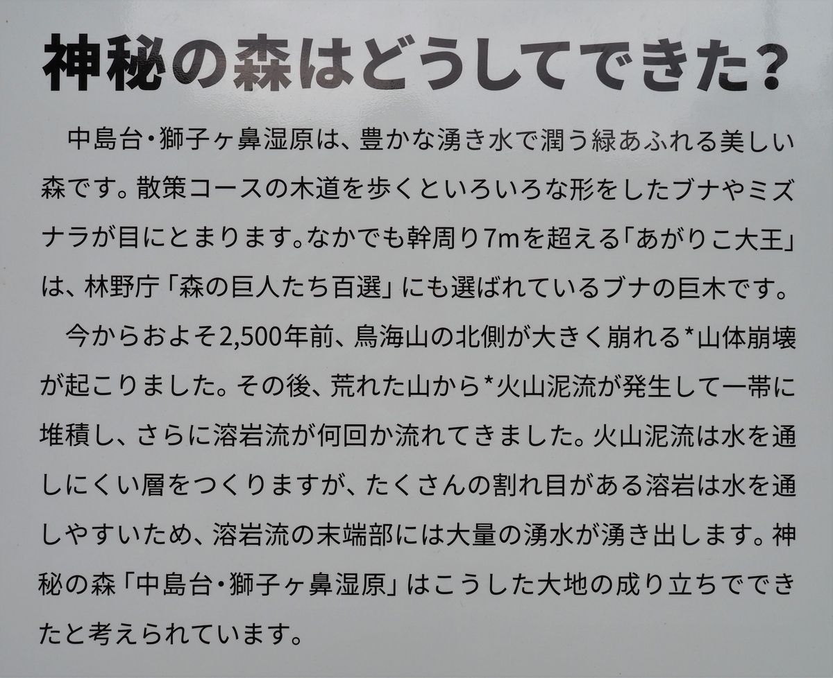 f:id:pft78526:20210523161039j:plain