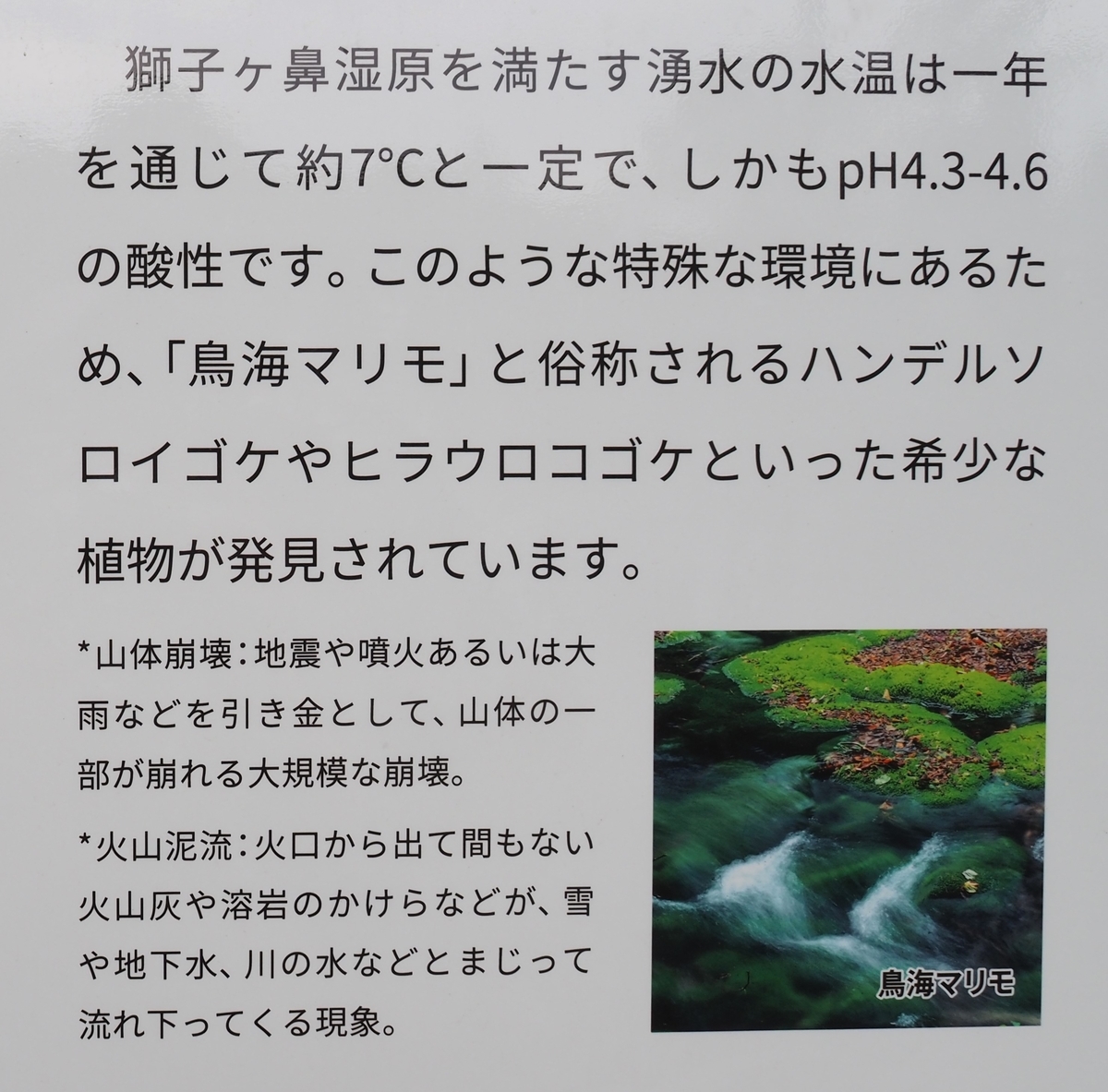 f:id:pft78526:20210523161140j:plain